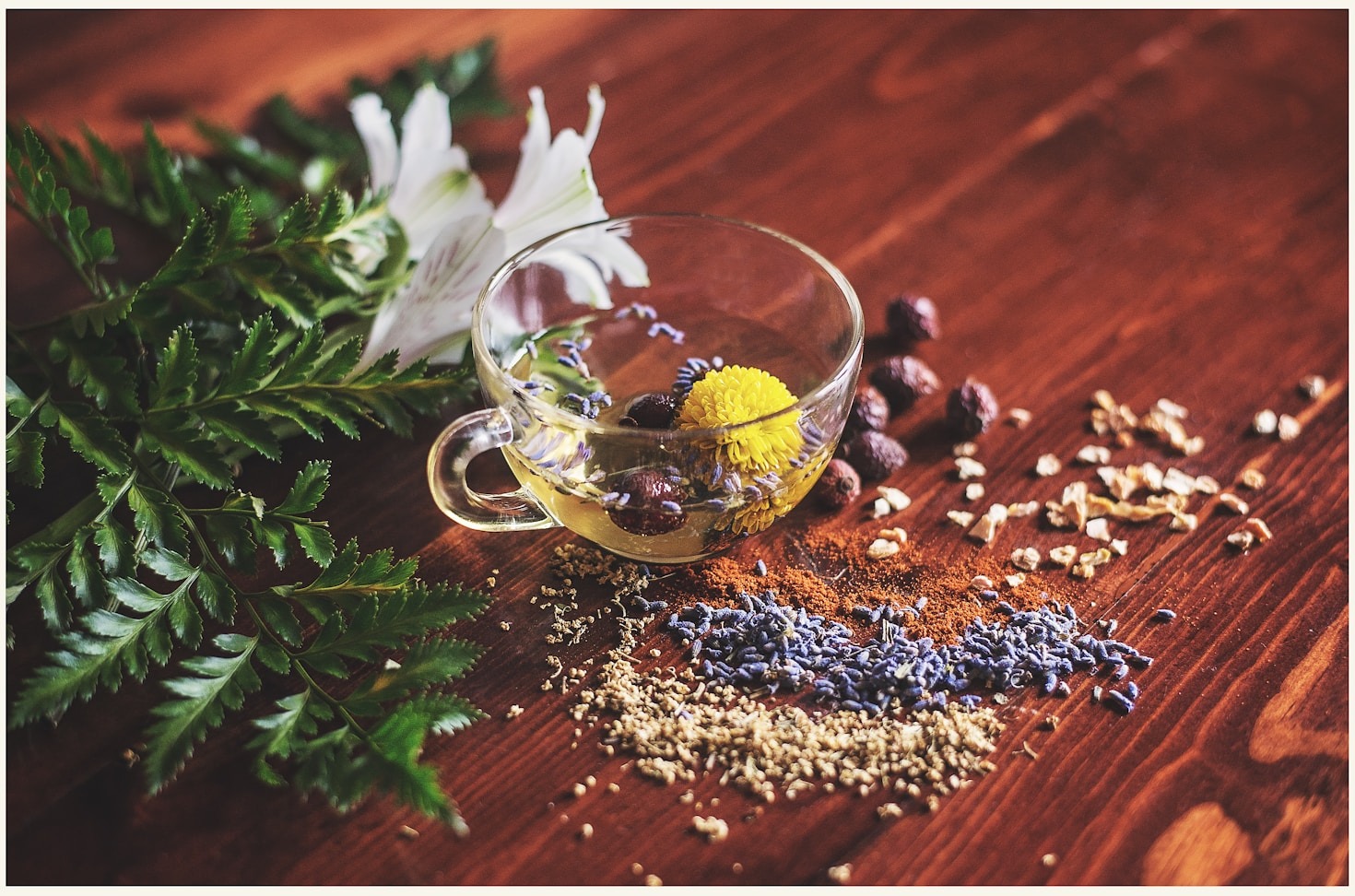 Exploring the Roots of Traditional Therapeutic Knowledge