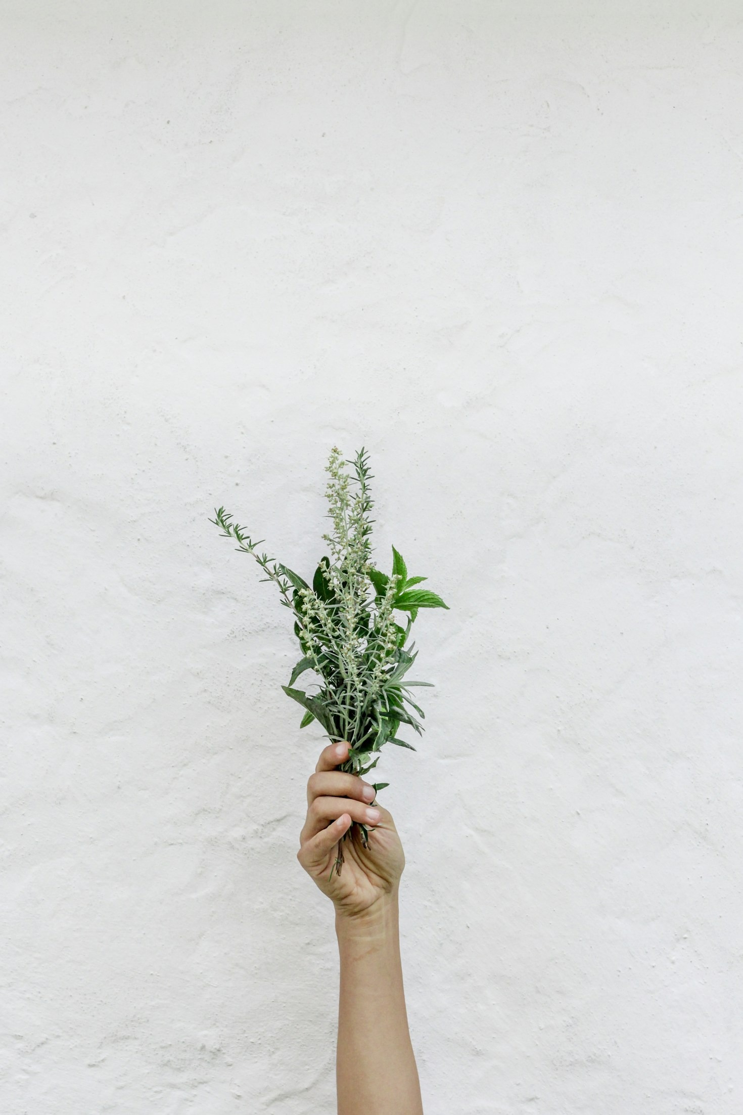 The Science Behind Integrating Natural and Modern Healing